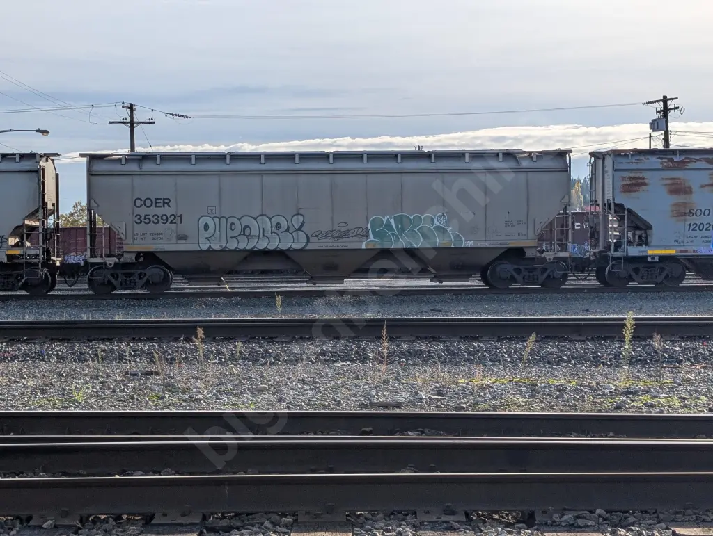 COER353921 - NORTH-AMERICA