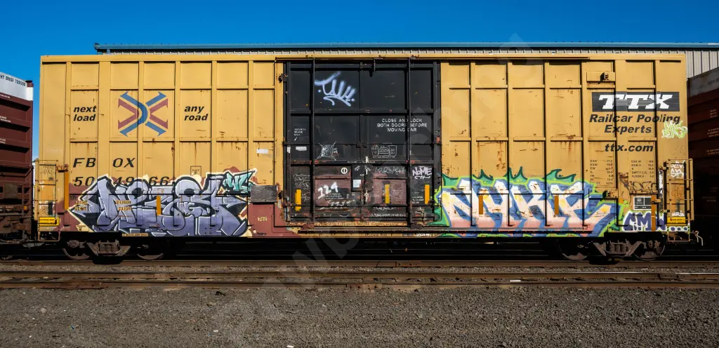 FBOX504966 - NORTH-AMERICA