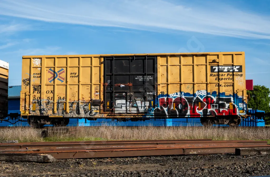 FBOX505194 - NORTH-AMERICA