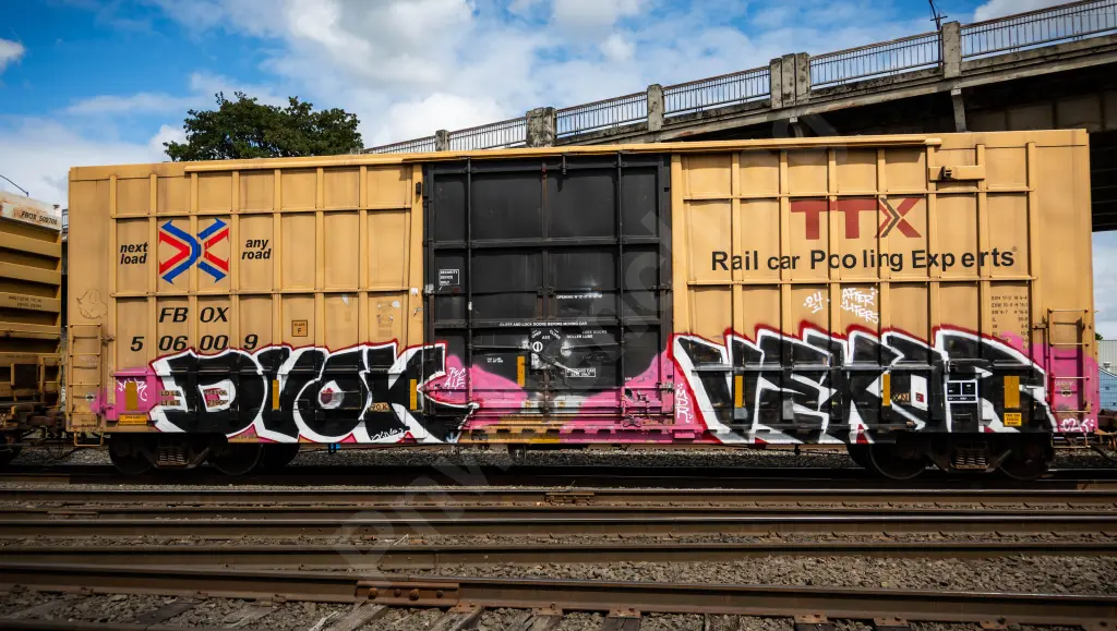 FBOX506009 - NORTH-AMERICA