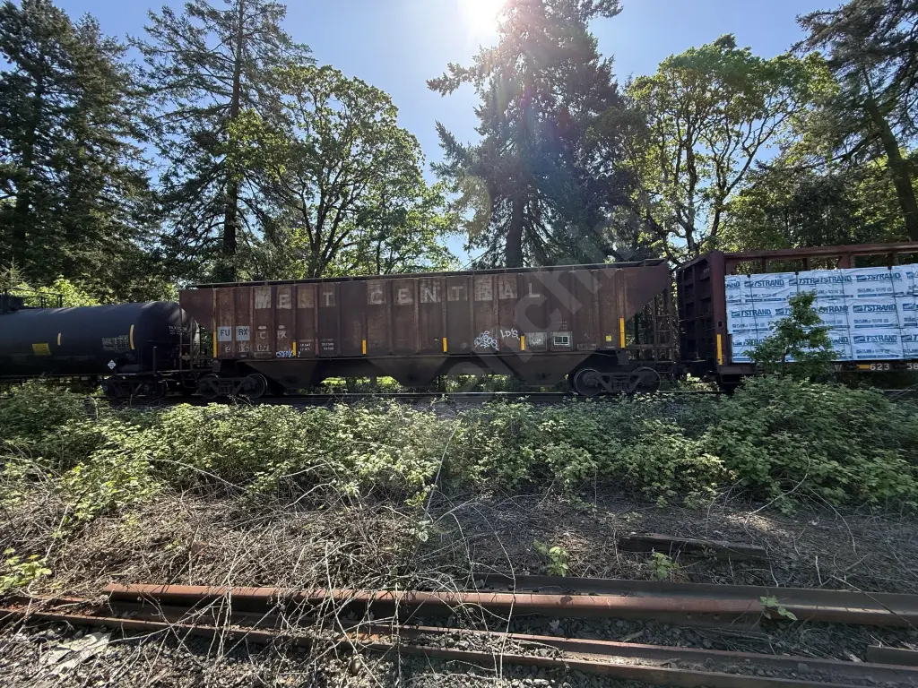 Train photo