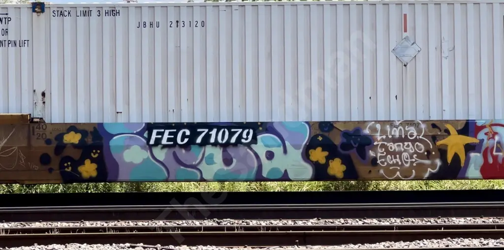 FEC71079 - NORTH-AMERICA