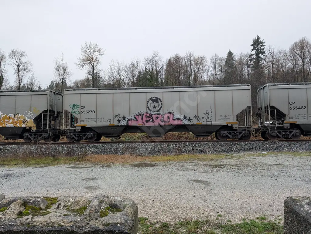 CP655270 - NORTH-AMERICA
