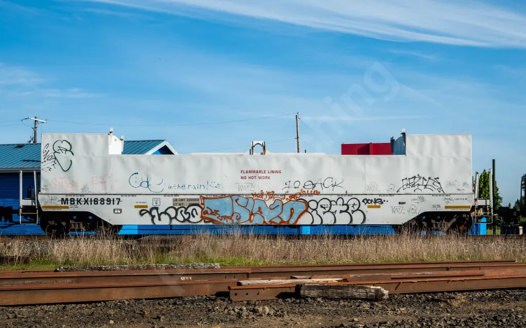 MBKX1688917 - NORTH-AMERICA
