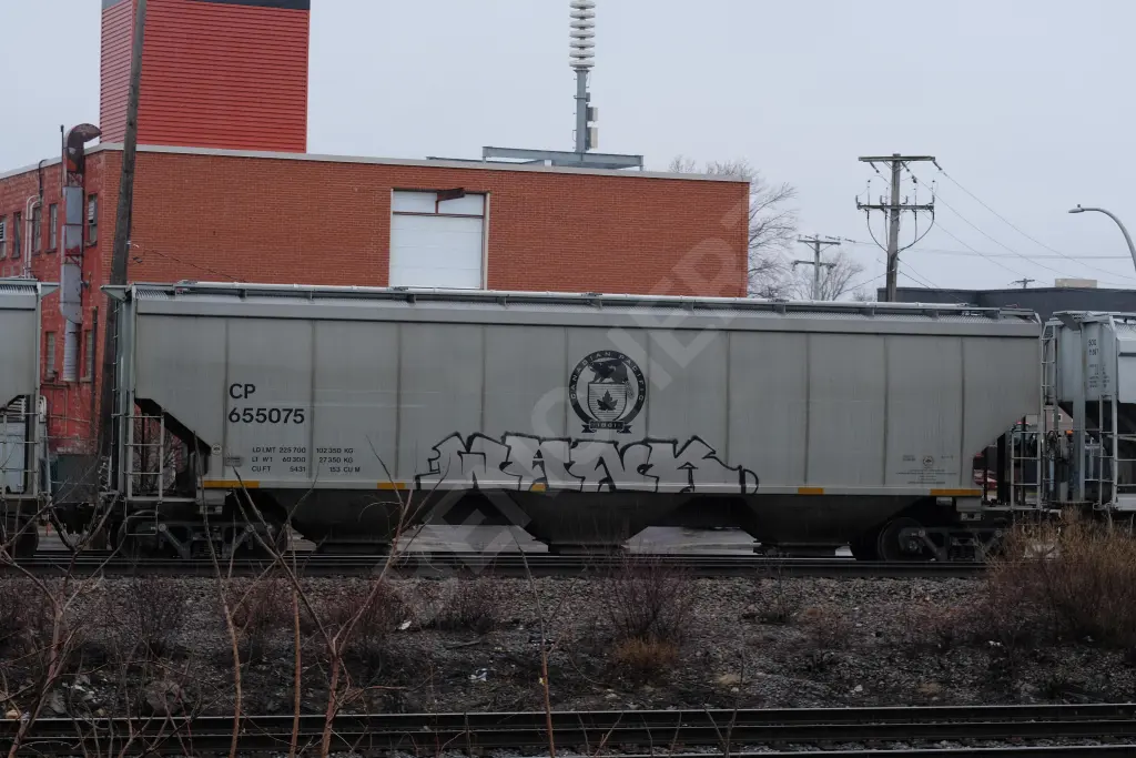 CP655075 - NORTH-AMERICA