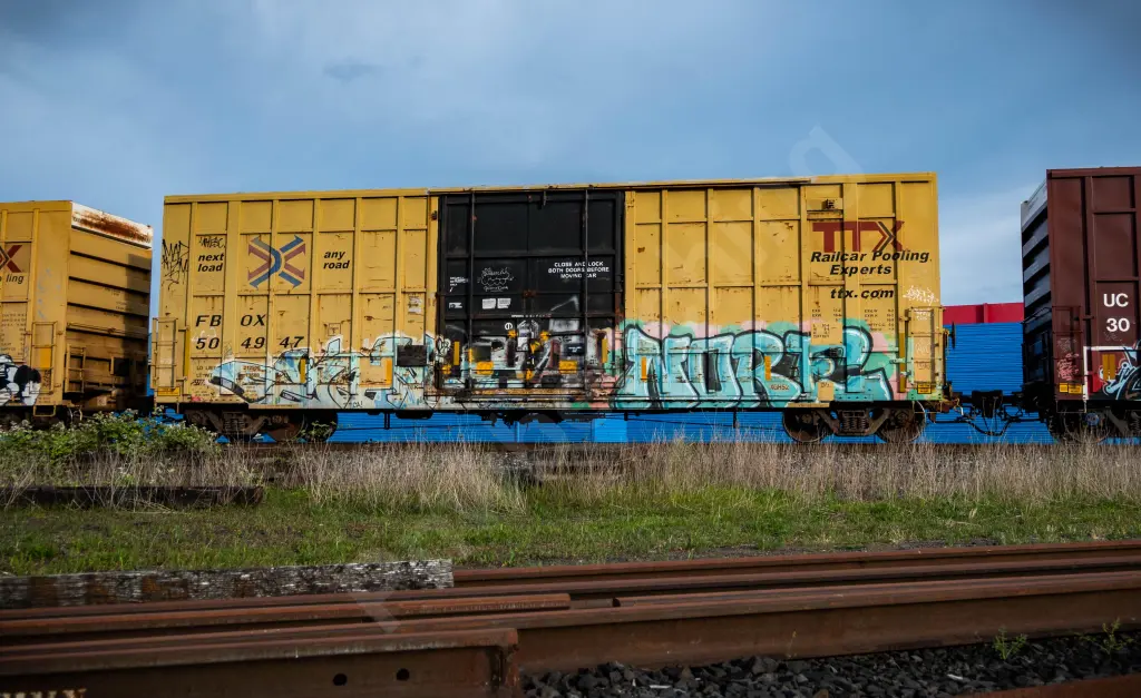 FBOX504947 - NORTH-AMERICA