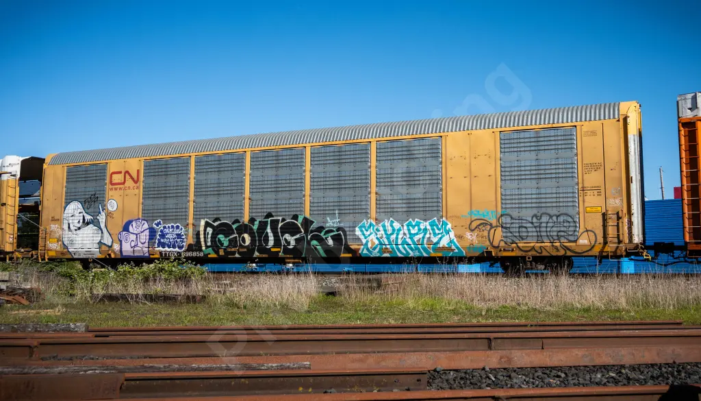 TTGX696858 - NORTH-AMERICA