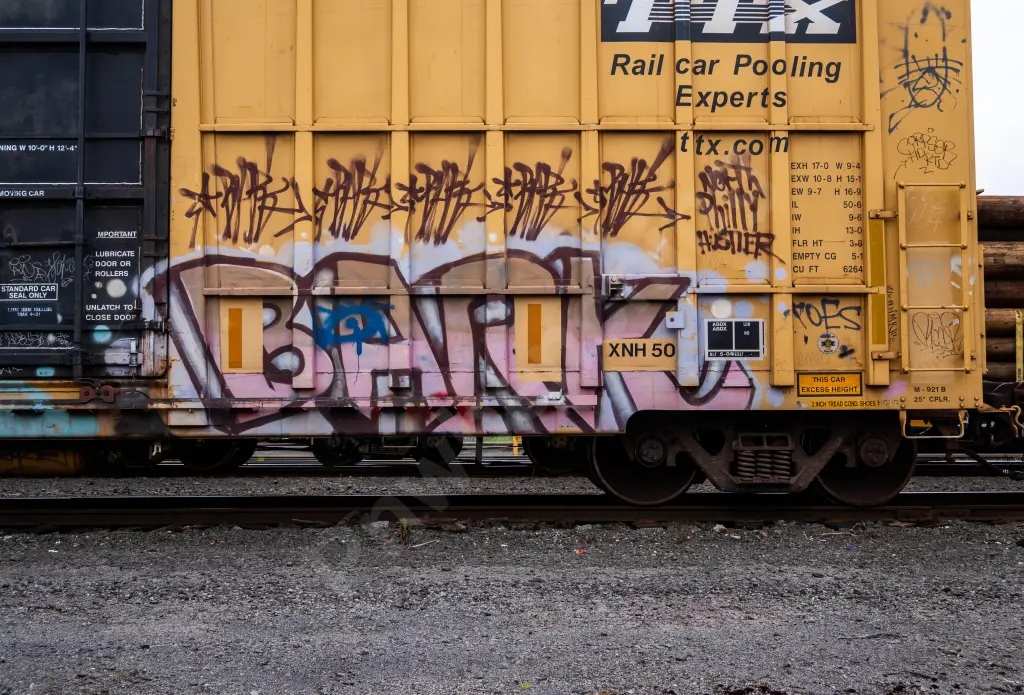 FBOX502658 - NORTH-AMERICA