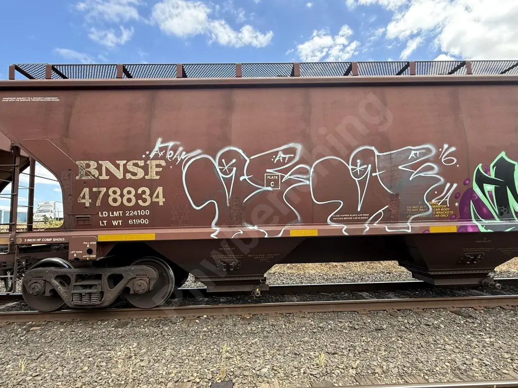 BNSF478834 - NORTH-AMERICA