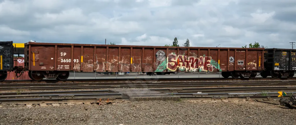 SP365093 - NORTH-AMERICA