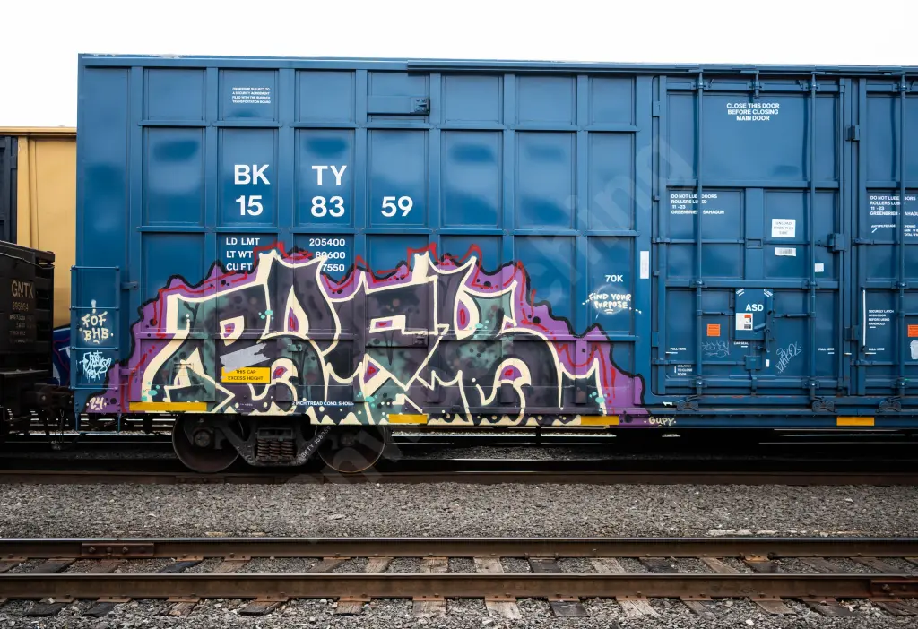 BKTY158359 - NORTH-AMERICA