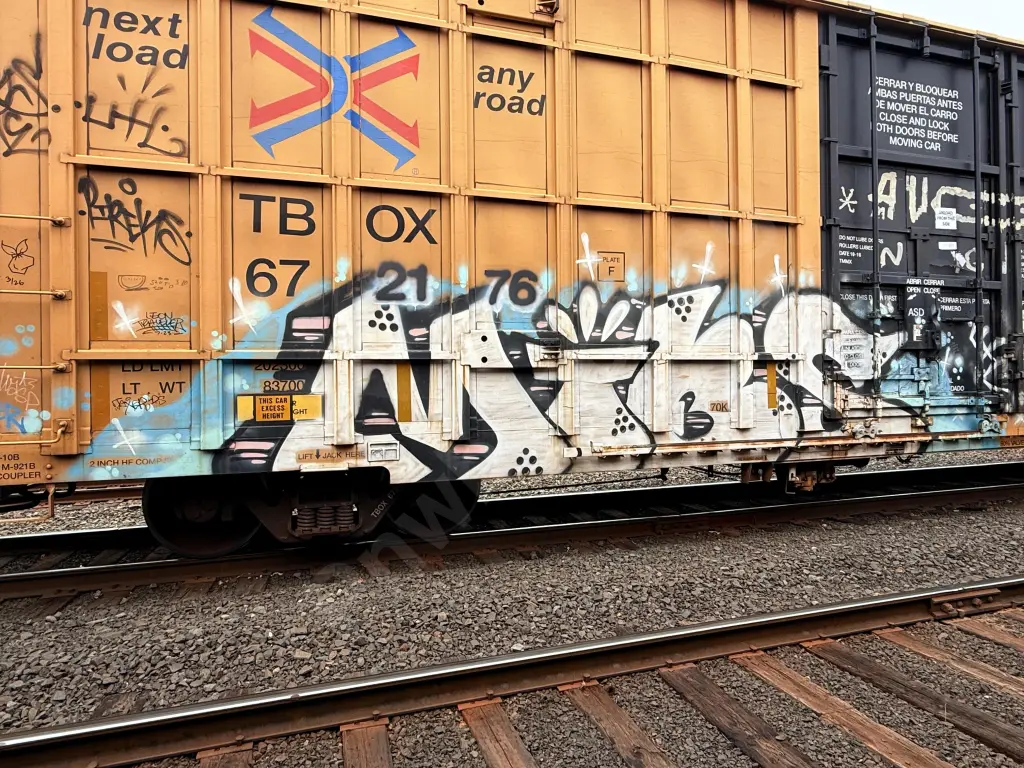 TBOX672176 - NORTH-AMERICA