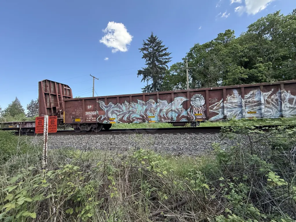 Train photo