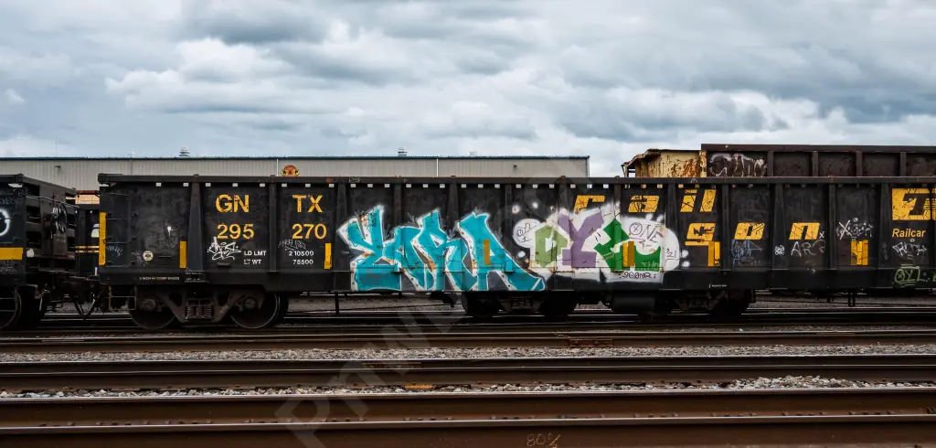 GNTX295270 - NORTH-AMERICA