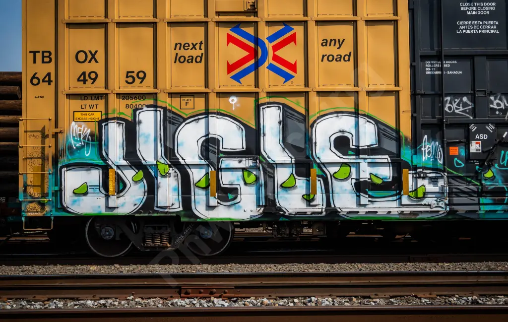 Train photo