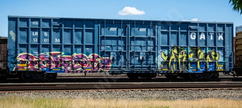 LRS130136 - NORTH-AMERICA