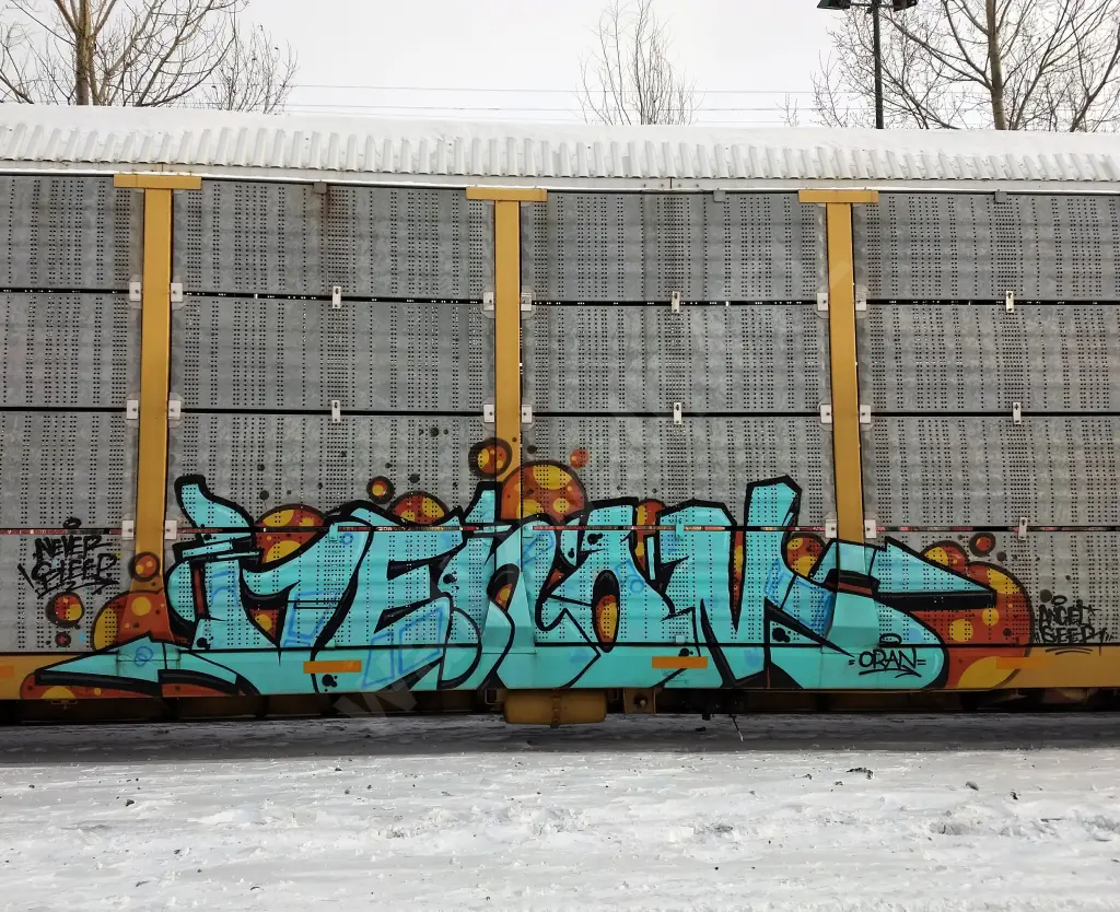 #11129 - NORTH-AMERICA