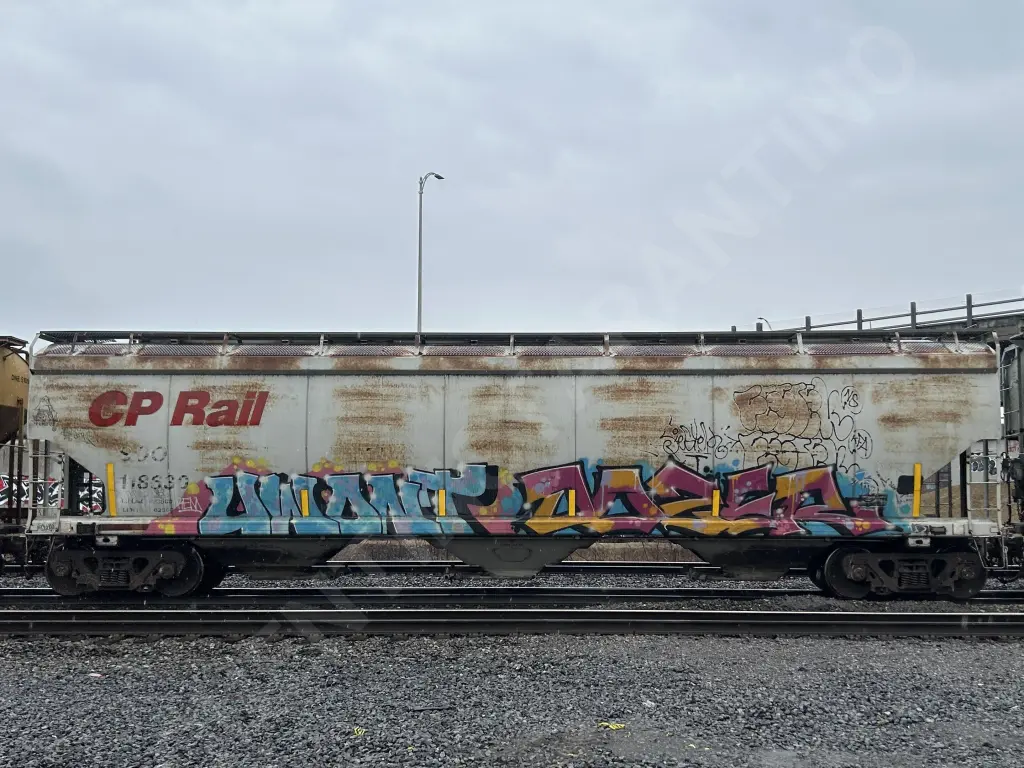 SOO118830 - NORTH-AMERICA