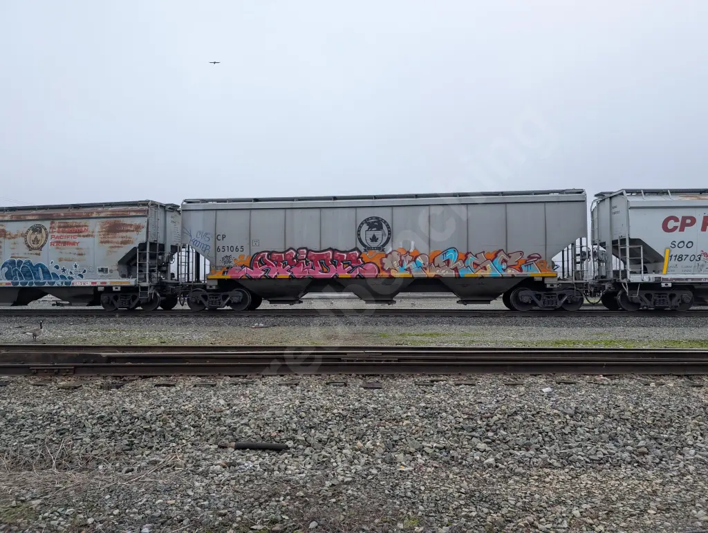 CP651065 - NORTH-AMERICA
