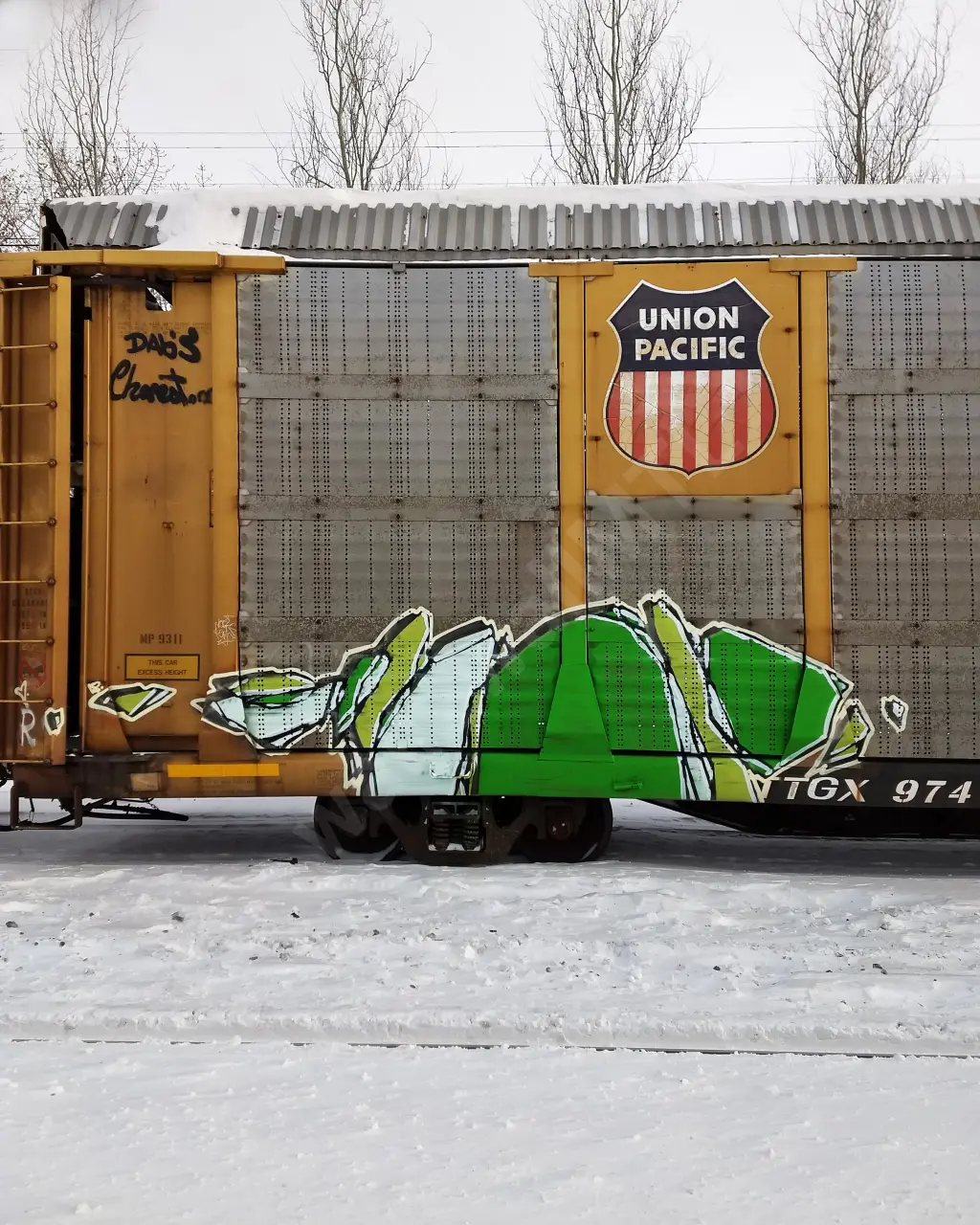 #11117 - NORTH-AMERICA