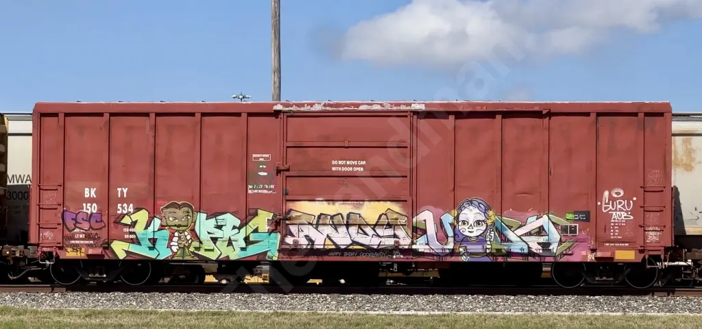 BKTY150534 - NORTH-AMERICA
