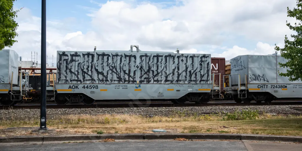 AOK44598 - NORTH-AMERICA
