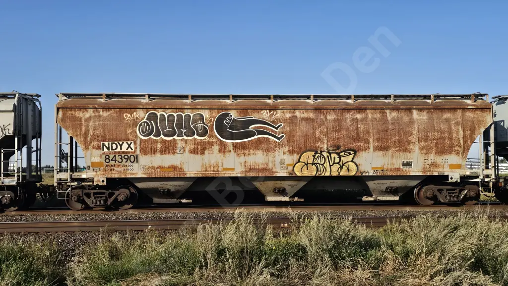 NDYX843901 - NORTH-AMERICA