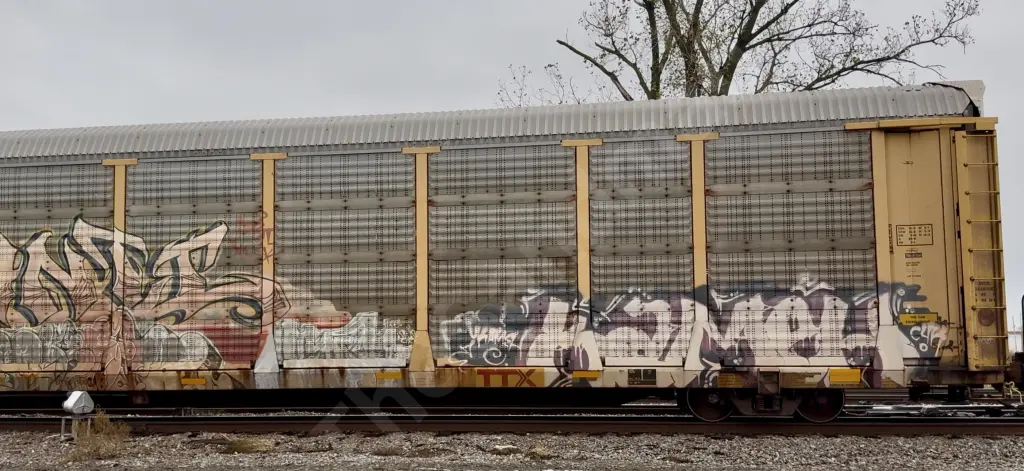 TTGX987406 - NORTH-AMERICA