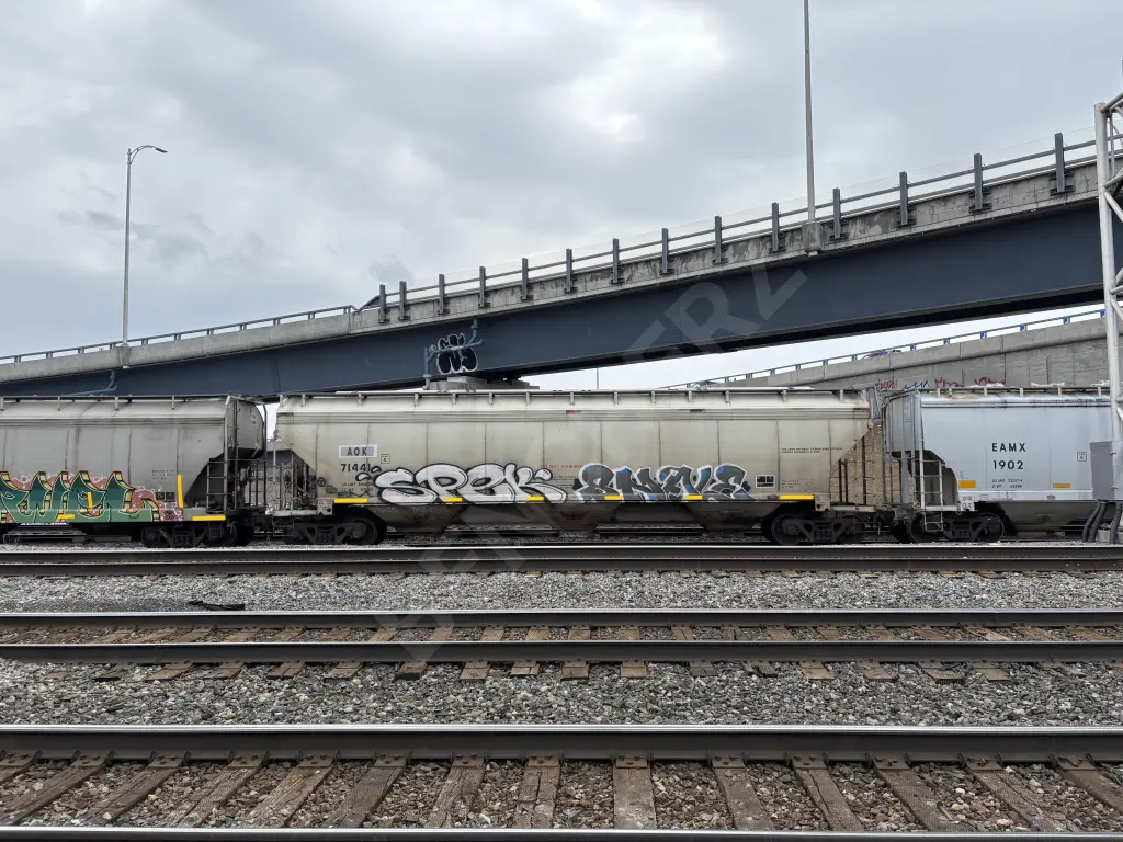 AOX71441 - NORTH-AMERICA