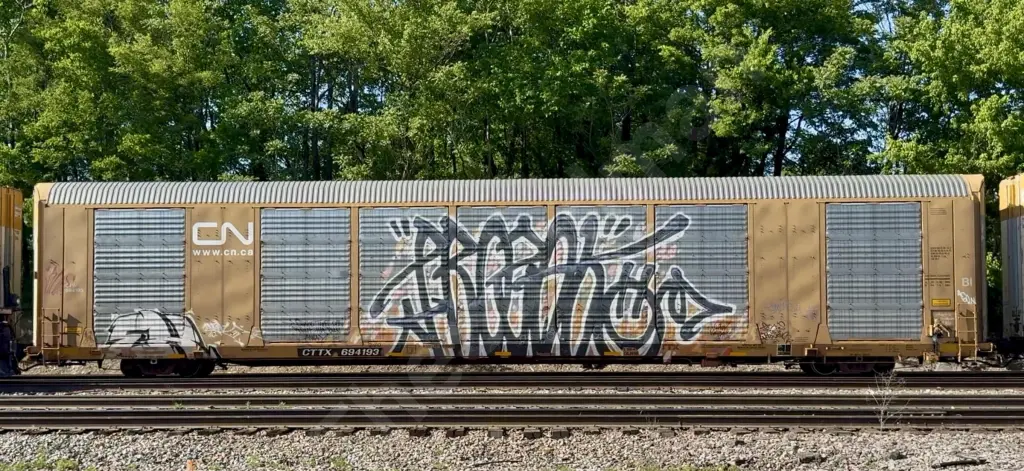 Train photo