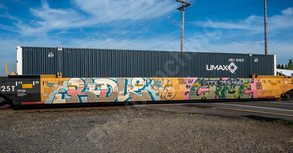 DTTX795455 - NORTH-AMERICA
