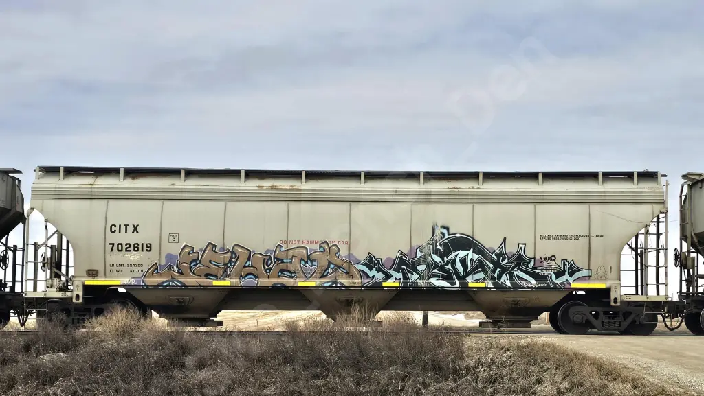 CITX702619 - NORTH-AMERICA