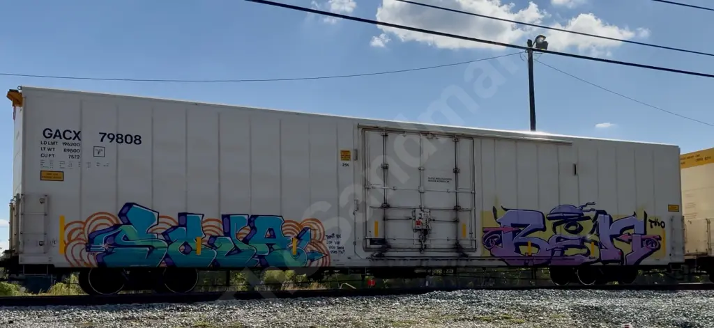 GACX79808 - NORTH-AMERICA