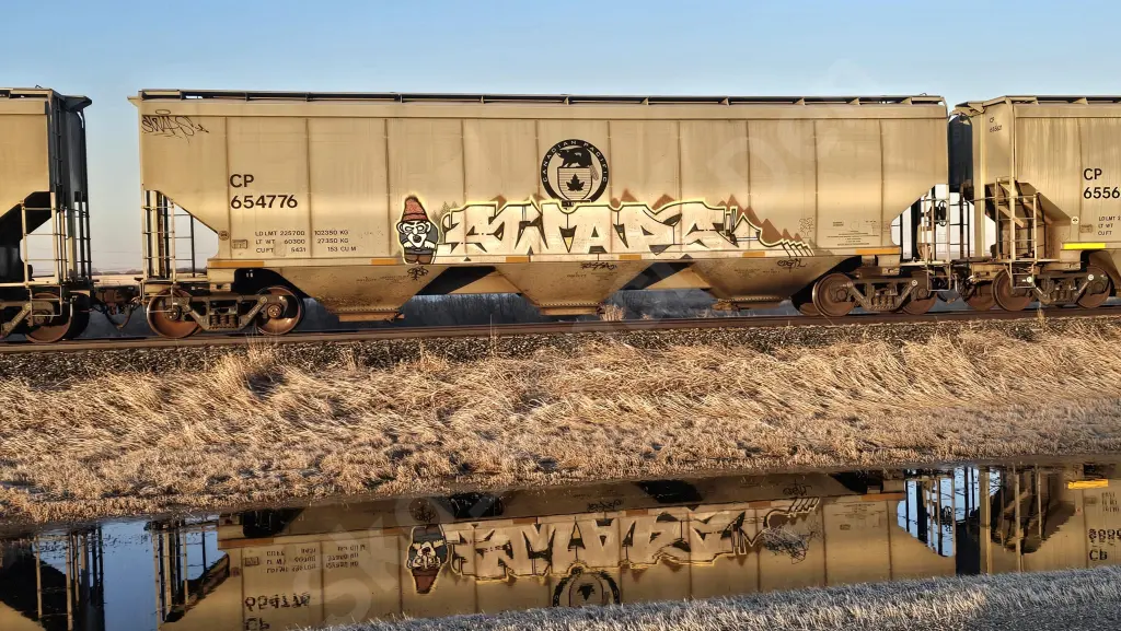 CP654776 - NORTH-AMERICA