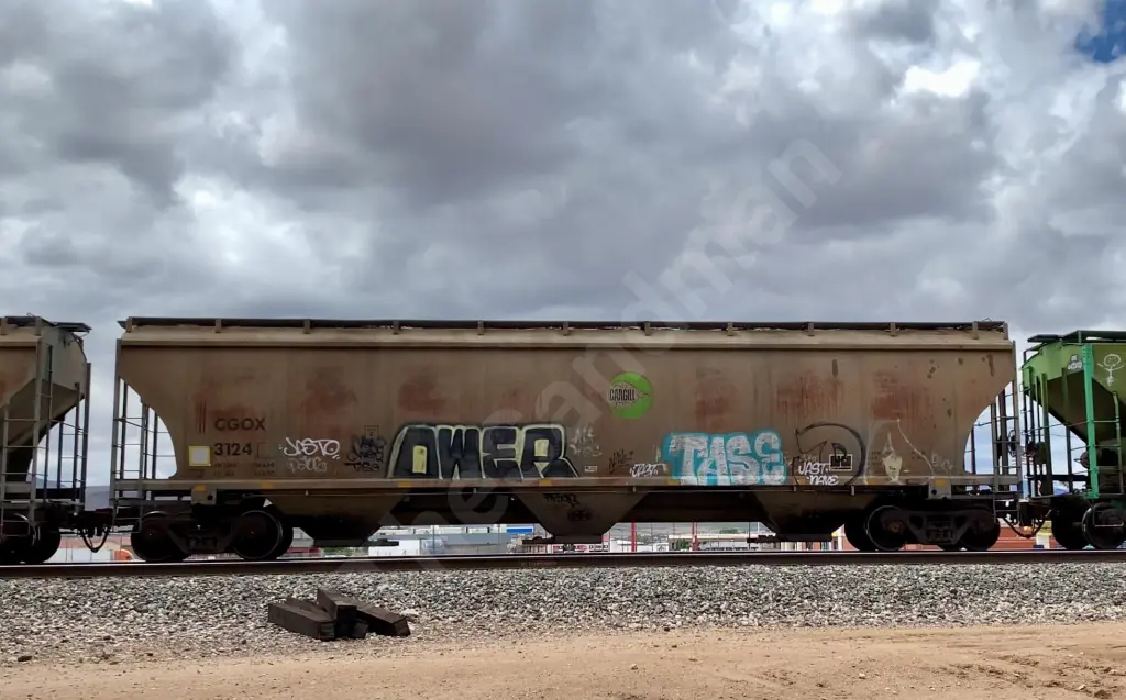 CGOX3124 - NORTH-AMERICA