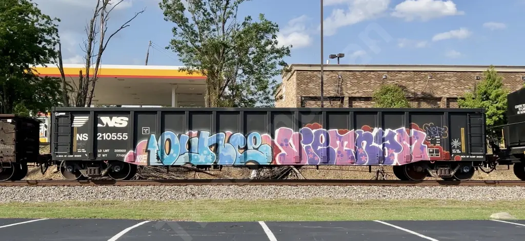 NS210555 - NORTH-AMERICA