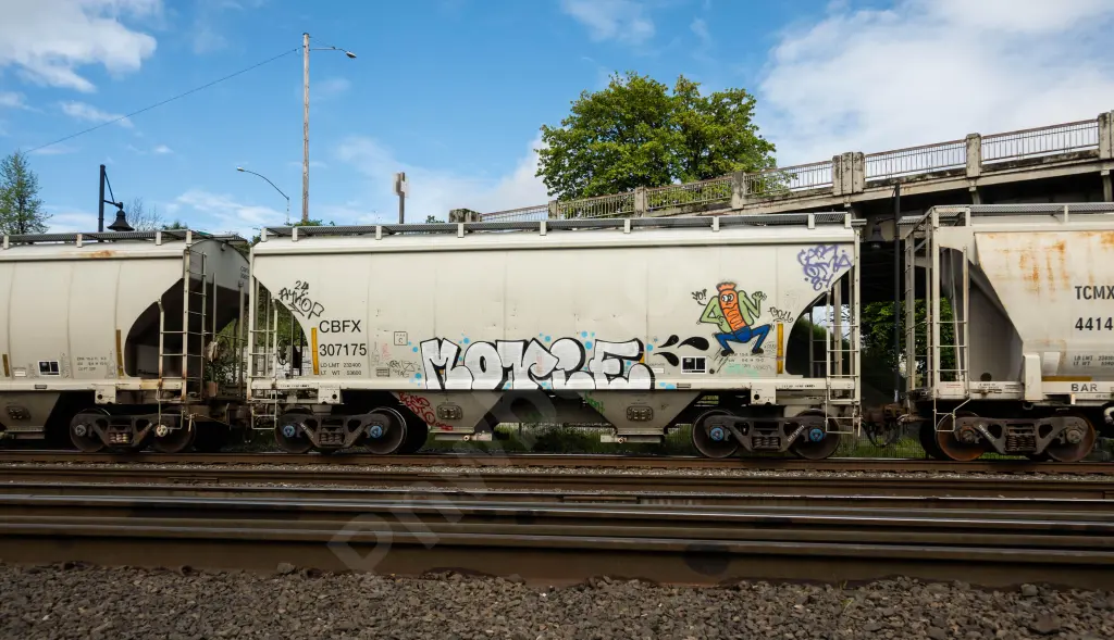 CBFX307175 - NORTH-AMERICA