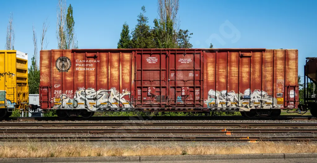 CP218115 - NORTH-AMERICA