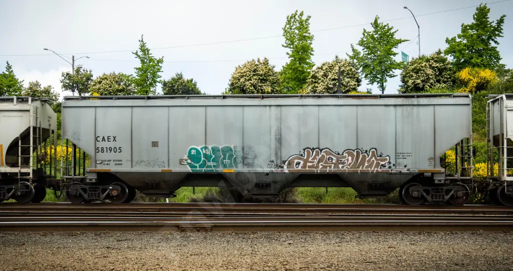CAEX581905 - NORTH-AMERICA