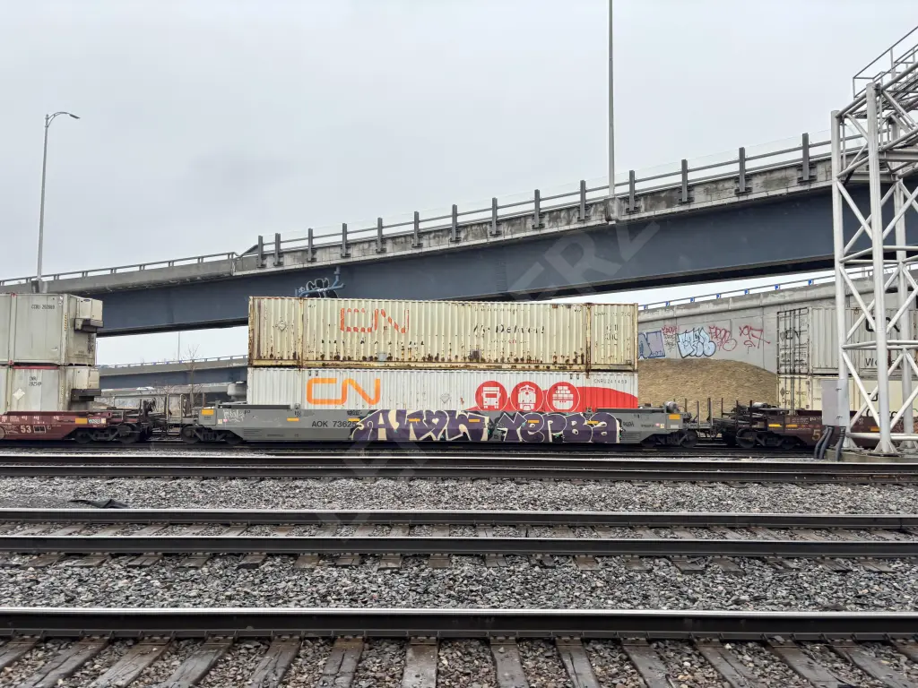 AOK73625 - NORTH-AMERICA