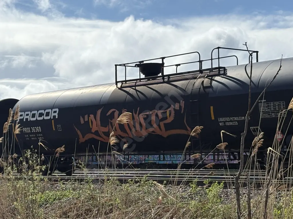 PROX36369 - NORTH-AMERICA