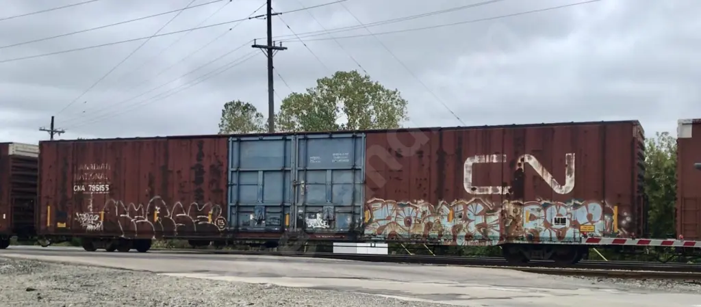 CNA795155 - NORTH-AMERICA