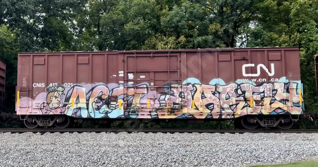 CNIS413021 - NORTH-AMERICA