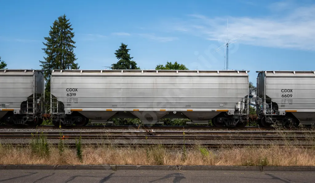 CGOX6319 - NORTH-AMERICA