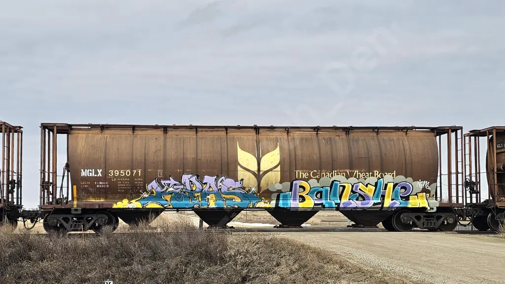 MGLX395071 - NORTH-AMERICA