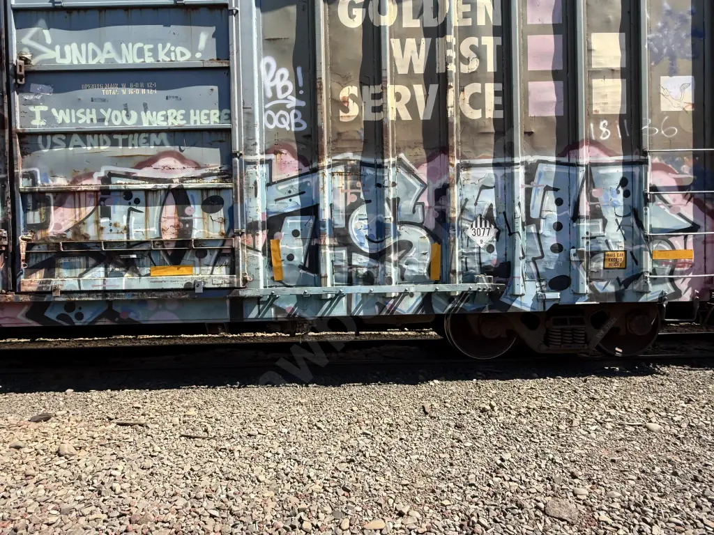 SSW67924 - NORTH-AMERICA
