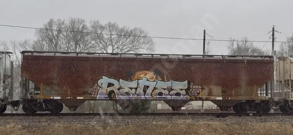 FLOX62118 - NORTH-AMERICA