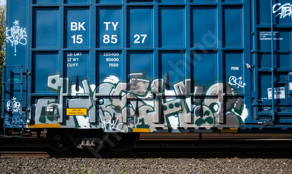 BKTY158527 - NORTH-AMERICA