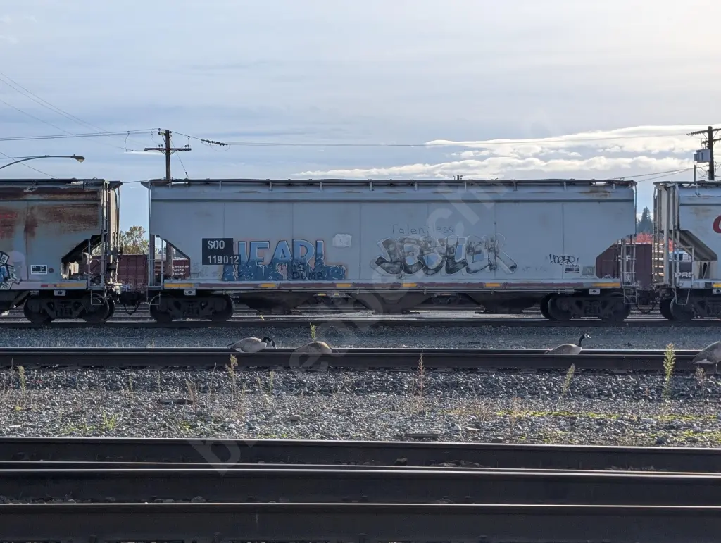 SOO119012 - NORTH-AMERICA