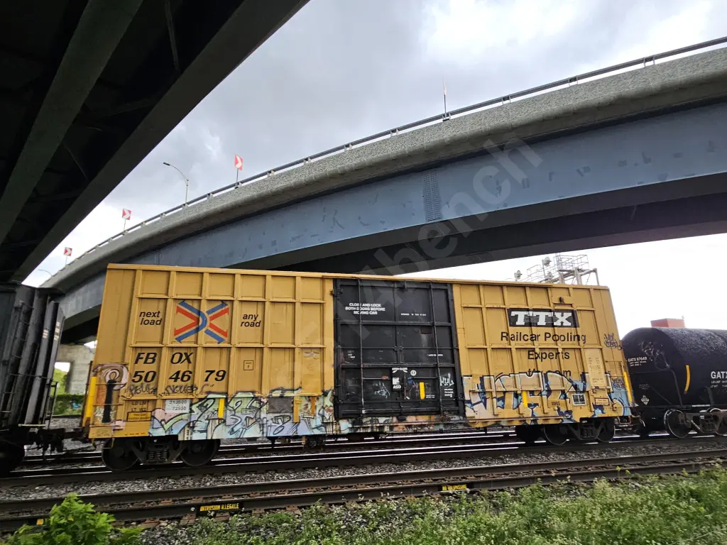 FBOX504679 - NORTH-AMERICA